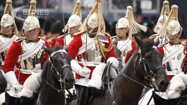 British Army Horses